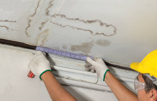 Reliable Basement Water Removal contractor in Kewaunee, WI by Water Damage Irwin